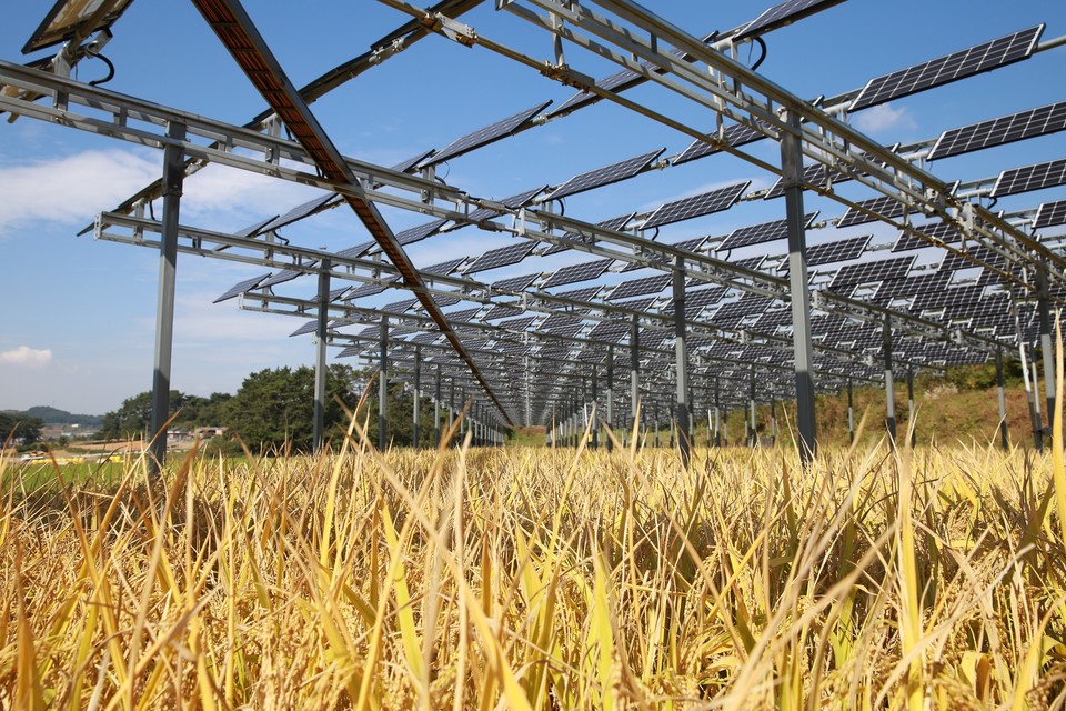 한국남동발전이 운영하고 있는 남해 관당마을 영농형 태양광 발전 실증 단지 (출처: 한국남동발전, 한화큐셀)