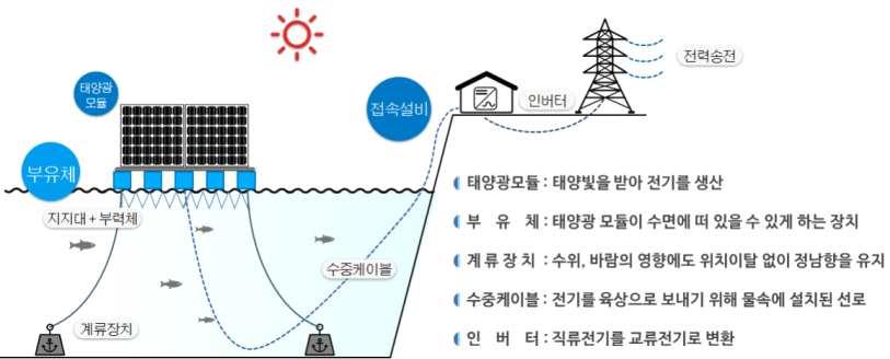 수상 태양광 설비 구조 (이미지=환경부)