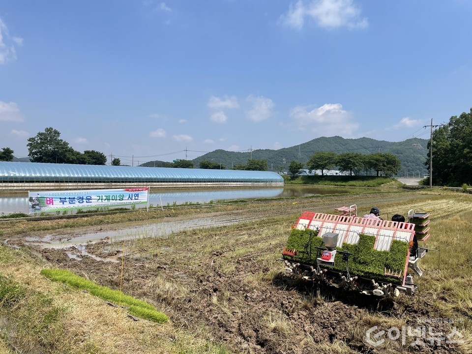벼 부분경운 기계이앙 시연 모습. (사진=그린랩스)