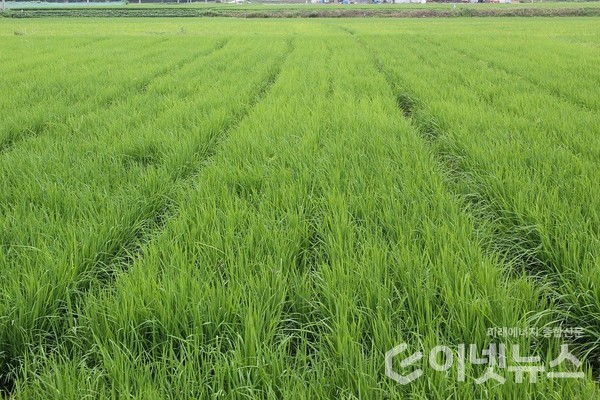 (사진=픽사베이)