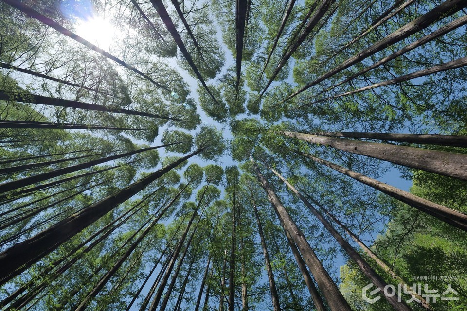 (사진=픽사베이)