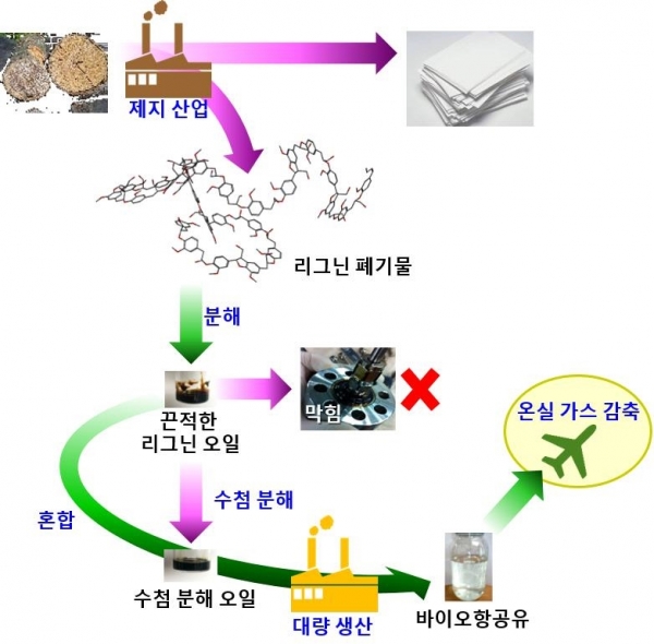 (KIST가 공개한 리그닌 폐기물을 이용한 바이오항공유 생산 과정. 사진=KIST)