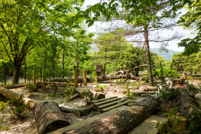광릉숲의 풍부한 자연환경과 어우러진 어린이정원처: 서울그린트러스트(사진=)