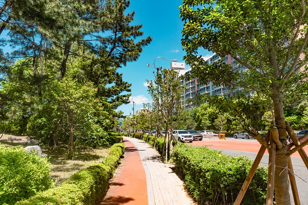 부산시의 가로수 전경. (사진=산림청)