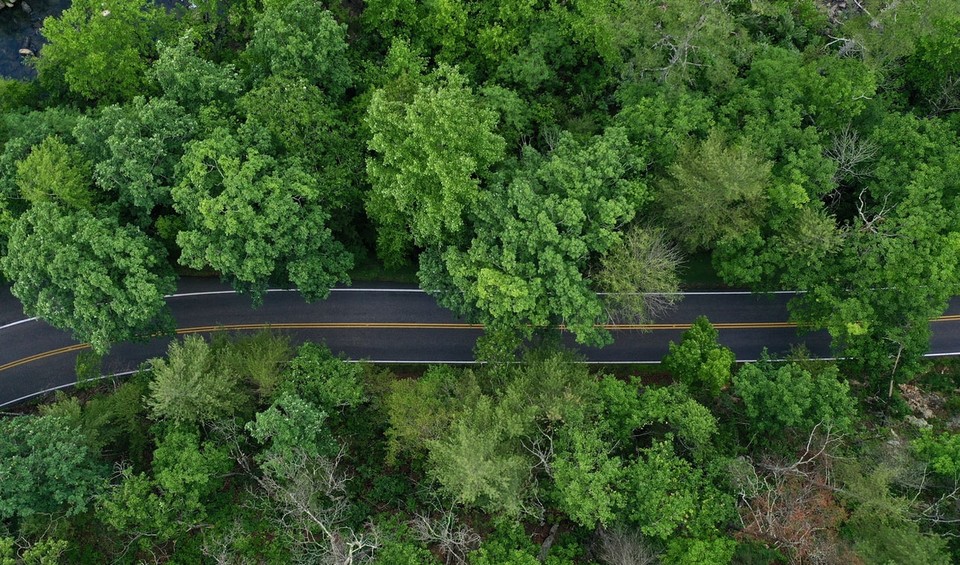탄소중립이 전 세계 뉴노멀로 자리 잡고 있다. (사진=언스플래쉬(unsplash))