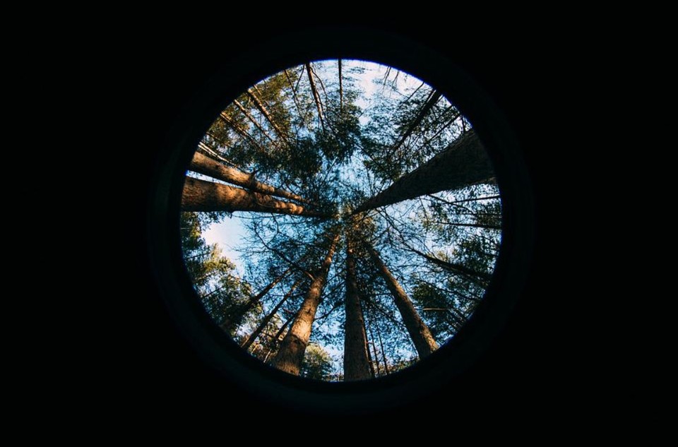 (사진=픽사베이)