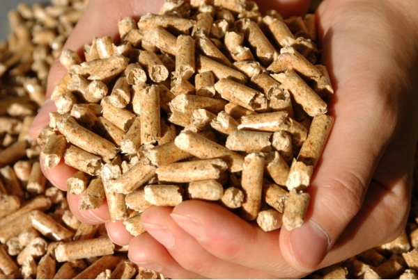 국립산림과학원에 따르면 목재 펠릿 1t은 1.48t의 이산화탄소 감축이 가능하다. (사진=산림청)