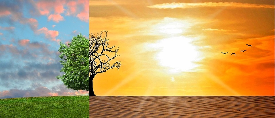 지구온난화로부터 빠른 회복을 위해서는 메탄가스에 대한 경각심 및 새로운 해법 마련이 필요하다. (사진=픽사베이)