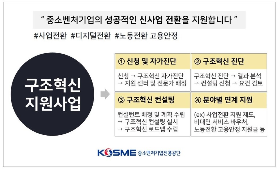 구조혁신 지원사업 개요. (자료=중진공 제공)