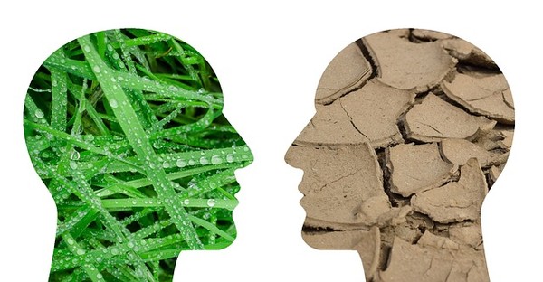 전세계 온실가스 배출 증가량의 87%가 아시아에서 비롯된 것으로 나타났다. (사진=픽사베이)