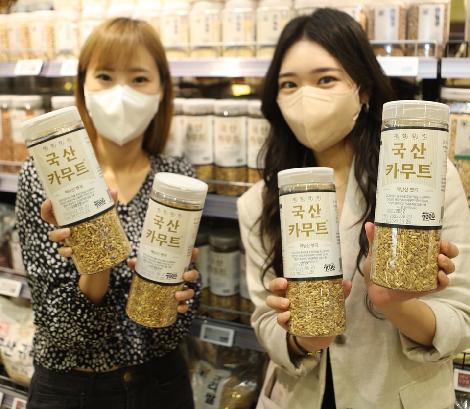 서울시 중구 봉래동에 위치한 롯데마트 서울역점에서 '국산 카무트'를 들고 있는 모습. (사진=롯데마트 제공)