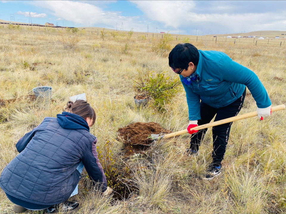 주민들과 몽골 학생 봉사단이 800 그루의 비술나무를 식재하고 물을 주는 모습. (사진=오비맥주 제공)