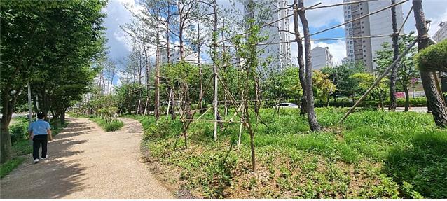 평택시 통복천 도시바람길숲. (사진=경기도 제공)