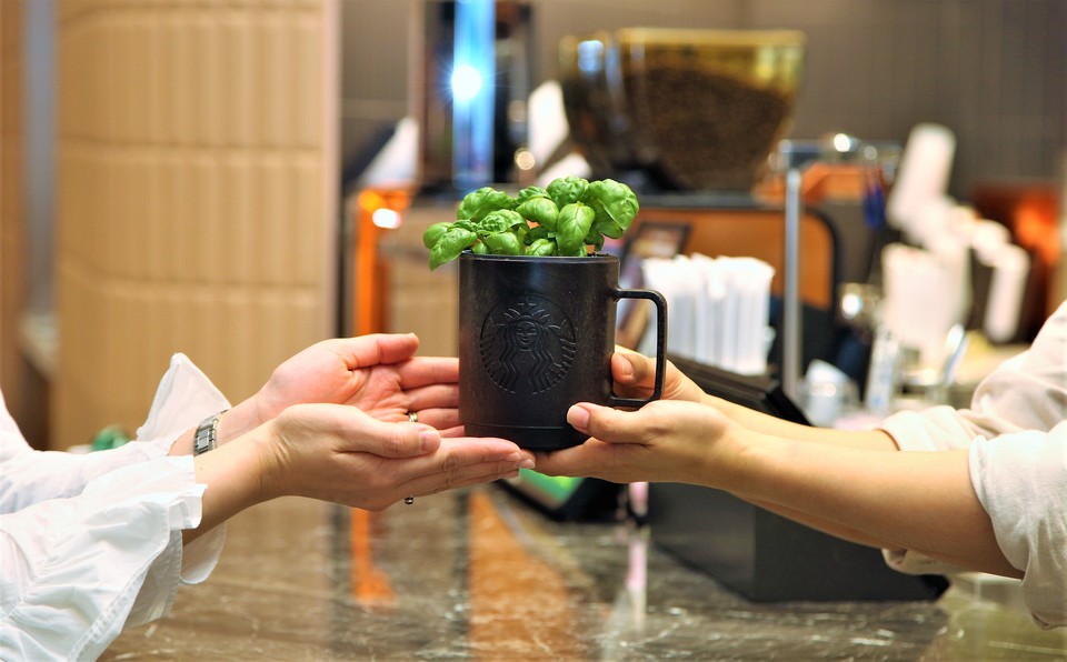 ‘커피박 화분.  (사진=스타벅스 제공)