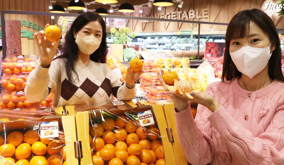 롯데슈퍼 프리미엄공덕점에서 '제주 햇 조생감귤'을 홍보하는 모델들의 모습. (사진=롯데슈퍼 제공)