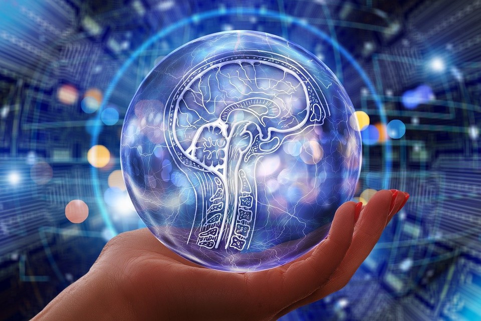 골드칼라 시대에는 평생직업을 찾아야 한다. (사진=픽사베이)