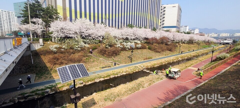 장지천에 설치된 태양광 가로등. (사진=이넷뉴스)
