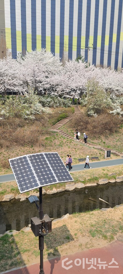 장지천에 설치된 태양광 가로등. (사진=이넷뉴스)