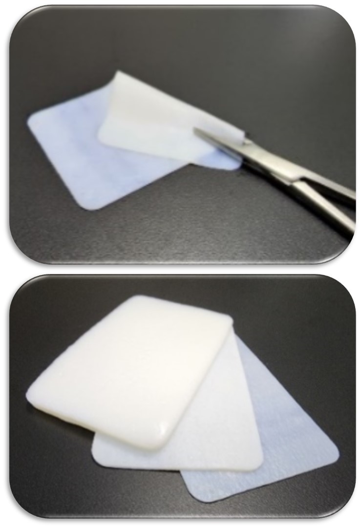 티앤알바이오팹 ADM 제품 ReproDermPlus(사진=제공)