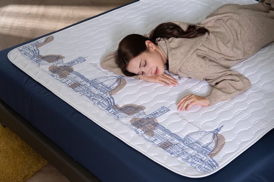 이메텍 전기요 IMF-092.