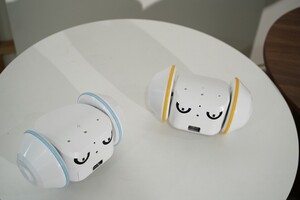 디로펫, 반려동물 위한 펫 소음방지 스마트 케어로봇 '펫반장' 론칭 - 뉴스 썸네일 이미지