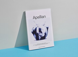 프리미엄 웨딩홀 브랜드 '더채플', 웨딩 멤버십 매거진 '아펠리안(Apelli... - 뉴스 썸네일 이미지